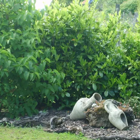 Couette-café Le Des Vignes 3*