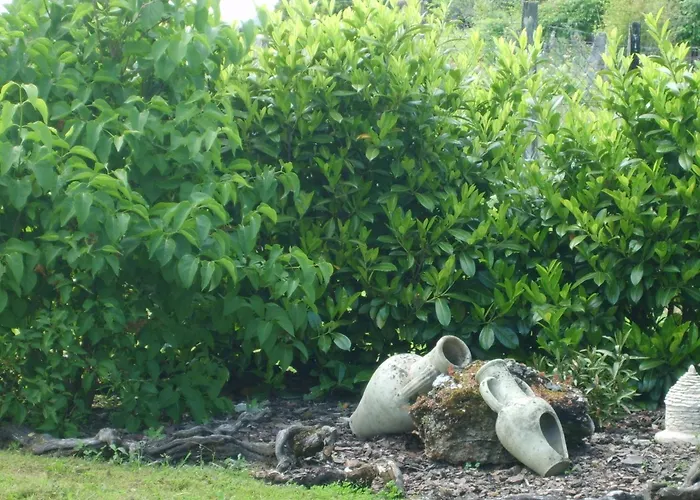 B&B Le Des Vignes 3*